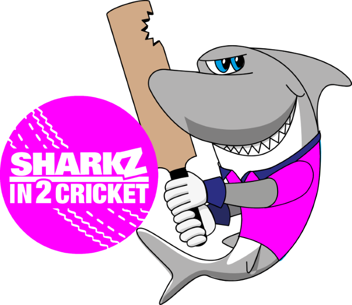 Aldridge Girls Cricket Hubs
